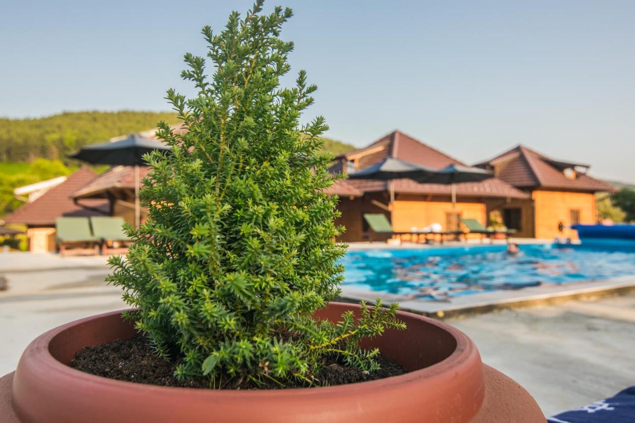 Kedar Selo Goc Villa Dış mekan fotoğraf